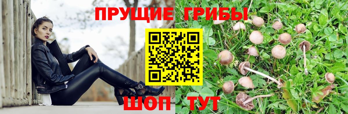 купить   Псилоцибиновые грибы MAGIC MUSHROOMS  Вход с VPN  Псилоцибиновые грибы MAGIC MUSHROOMS  Ростов Великий 