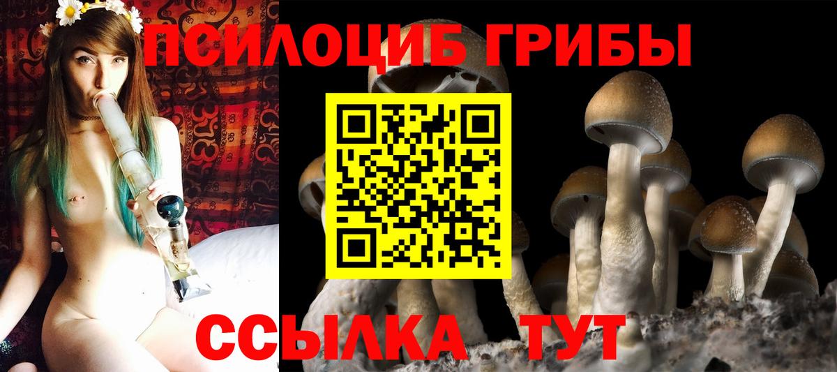 Псилоцибиновые грибы Cubensis Ростов Великий